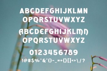 Modern Display Sans Serif Font