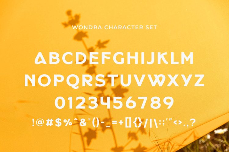 modern sans serif font