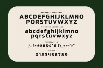 bold sans serif font