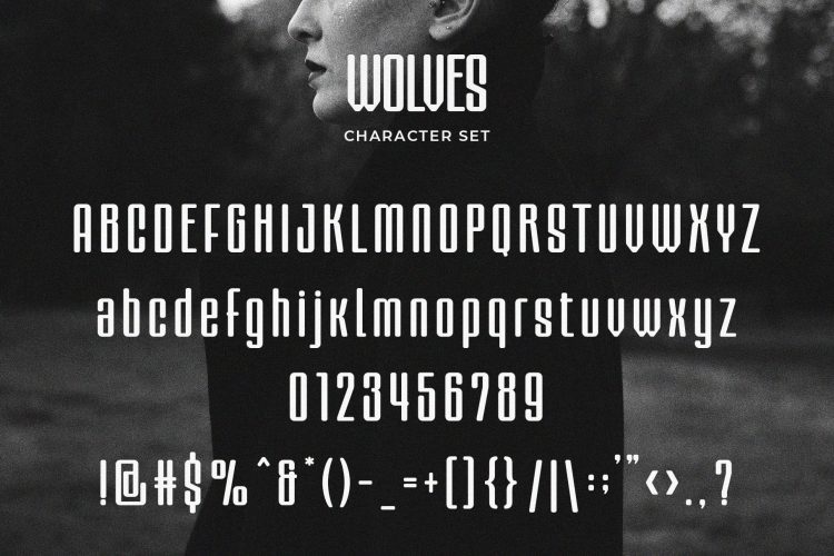 Display Condensed Sans Serif