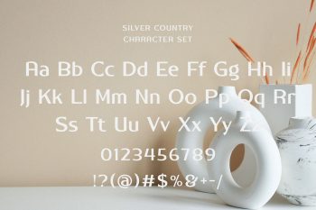 Elegant Modern Sans Serif