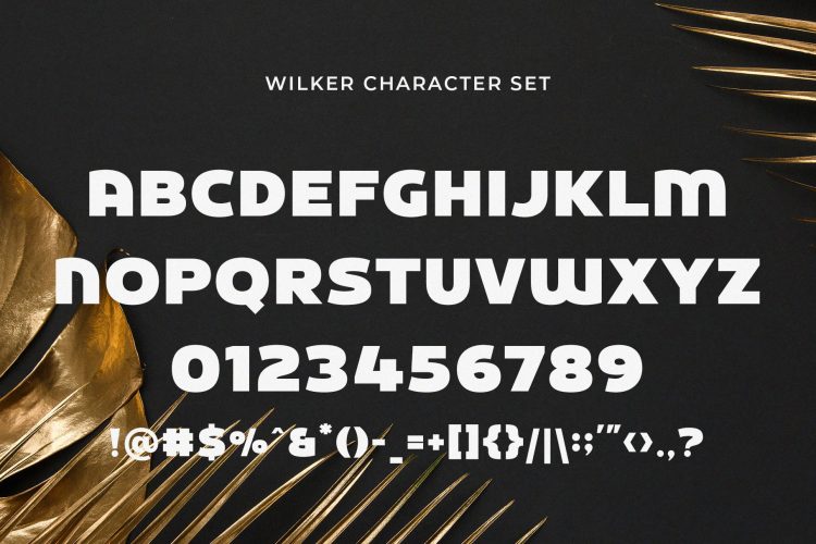 Display Bold Sans