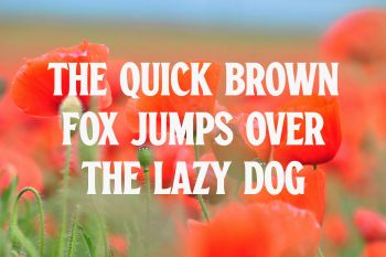 Classic Display Serif