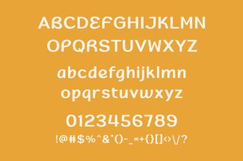 Elegant Sans Serif