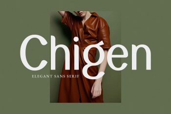 Elegant Sans Serif