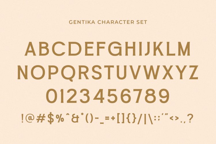 Modern Elegant Serif