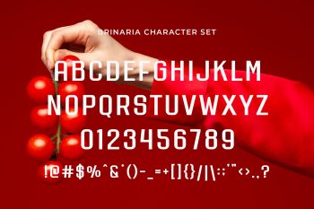 Modern Sans Serif