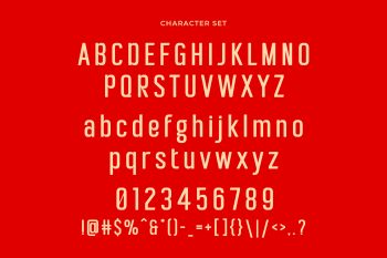 Modern Stylish Sans Serif