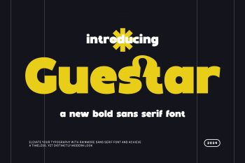 Modern Bold Sans