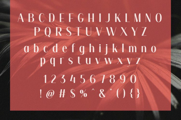 Elegant Sans Serif