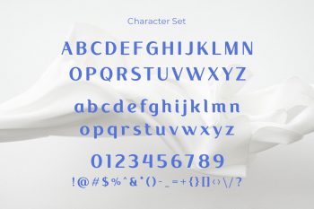Elegant Display Sans