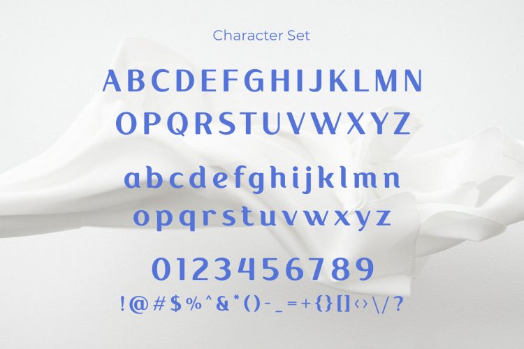 Elegant Display Sans