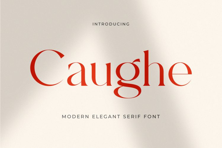 Modern Elegant Serif