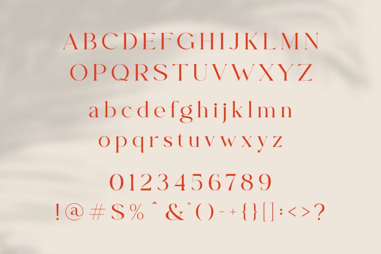 Modern Elegant Serif