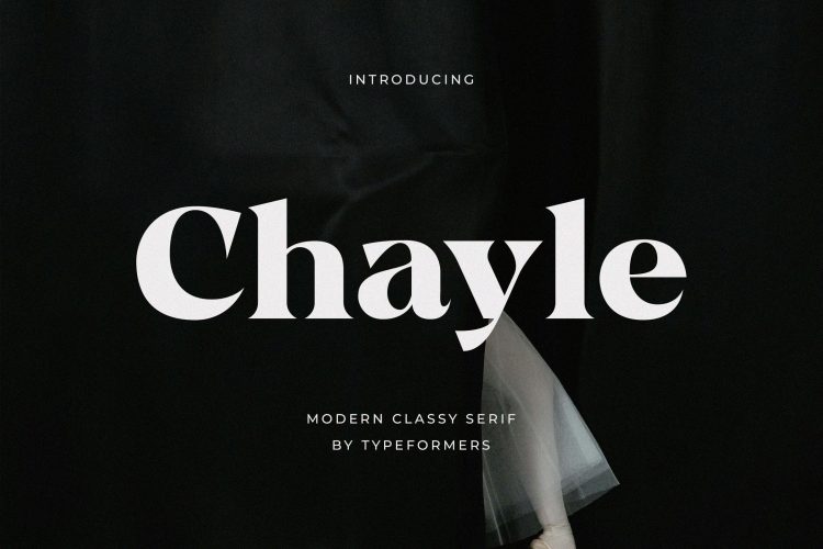 Modern Classy Serif