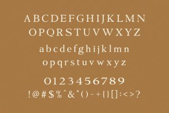 Modern Elegant Serif