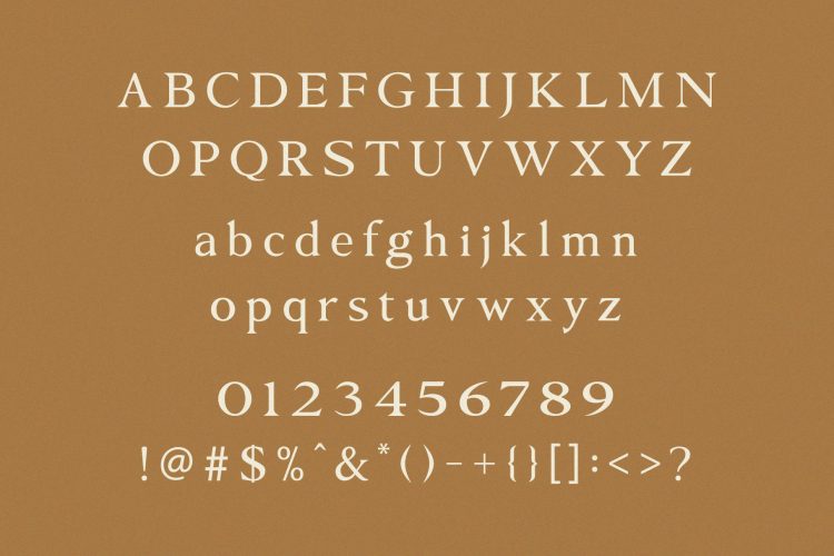 Modern Elegant Serif