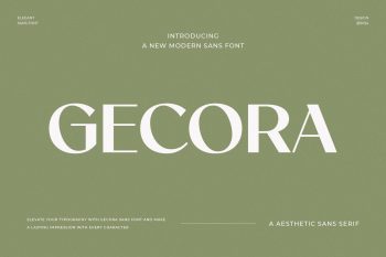 Elegant Sans Serif