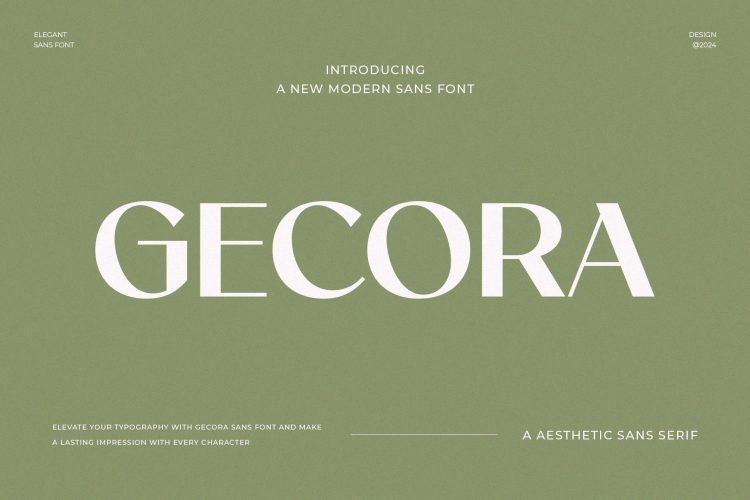 Elegant Sans Serif