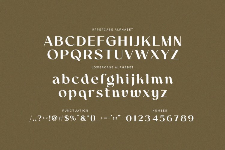 Elegant Sans Serif