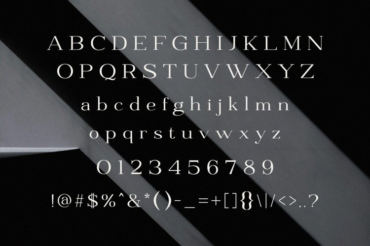 Modern Elegant Serif