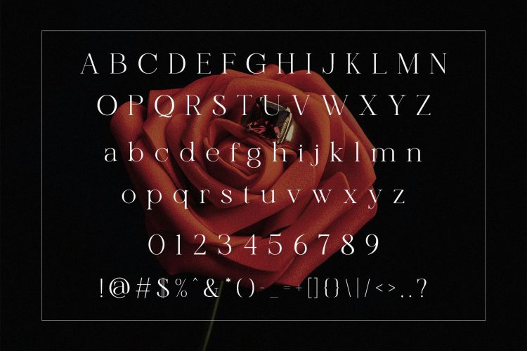 Modern Elegant Serif