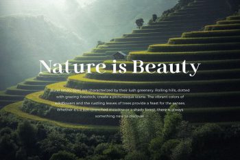 Modern Elegant Serif