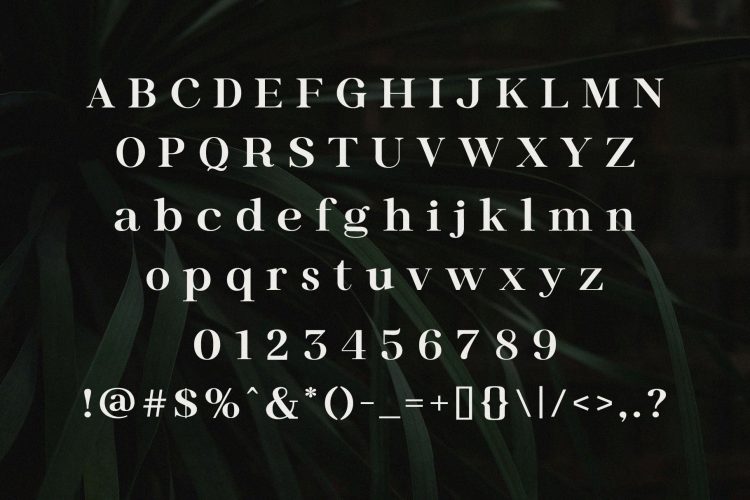 Modern Elegant Serif