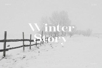 Modern Elegant Serif