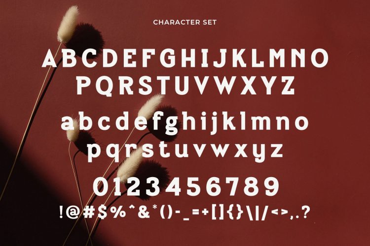 Modern Sans Serif