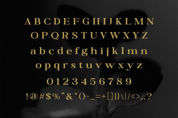 Modern Elegant Serif