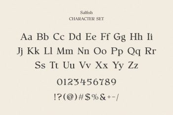 Nostalgic Serif Font