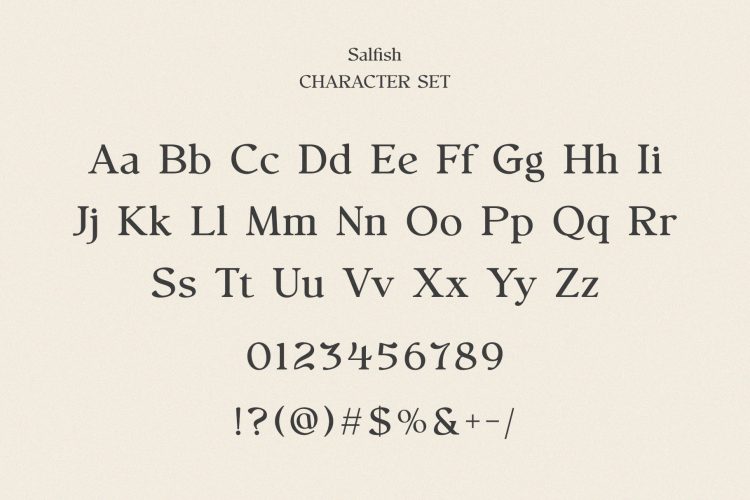 Nostalgic Serif Font